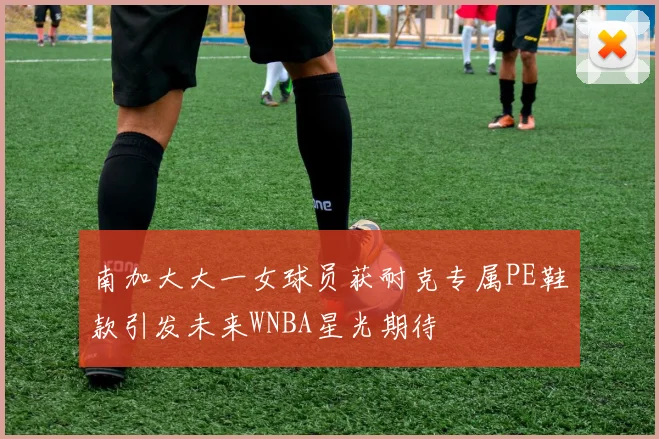 南加大大一女球员获耐克专属PE鞋款引发未来WNBA星光期待